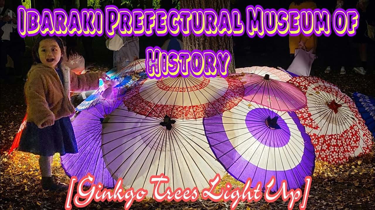 🏛️ 이바라키 현립 역사관(이바라키켄리쓰레키시칸) 이미지 12